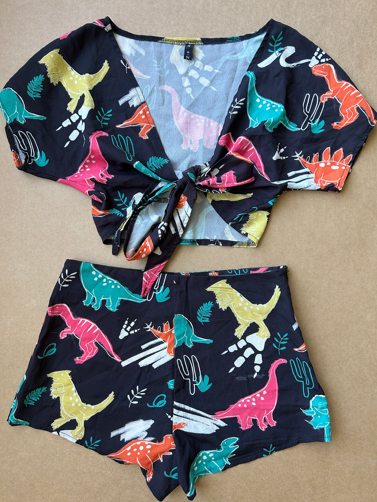Dino Explorer Set