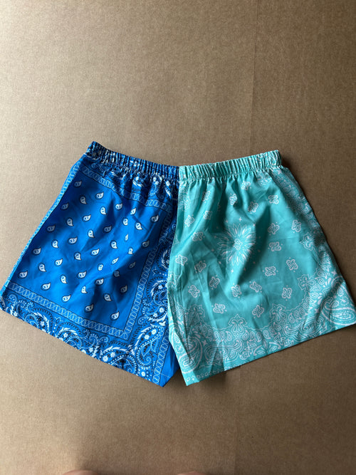 Bandana Shorts
